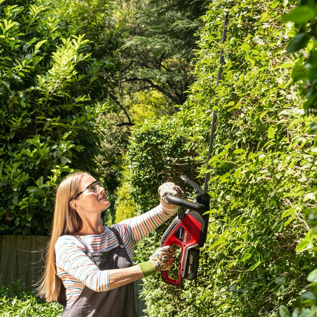 Bundel Taille-haies à batterie, avec batterie 2Ah et chargeur inclus